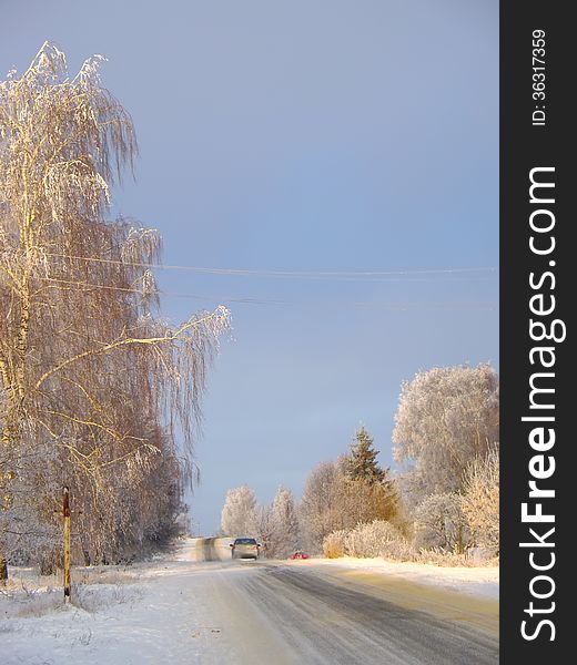 Country Road In Winter With Sunshine On Trees