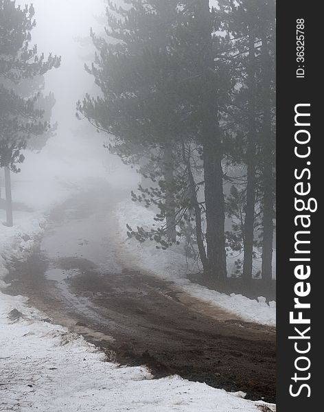 Winter landscape from Troodos mountains in Cyprus