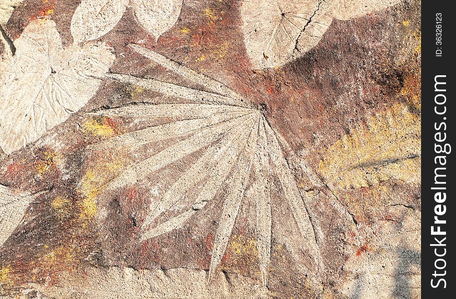 Leaf attached to the stone floor. Leaf attached to the stone floor.