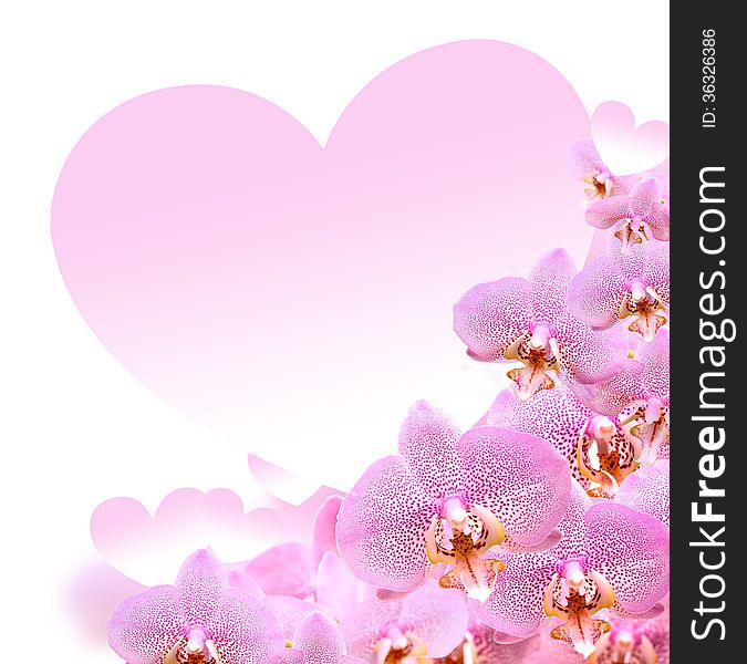 Greeting card as heart shape on background with pink orchid flowers. Greeting card as heart shape on background with pink orchid flowers