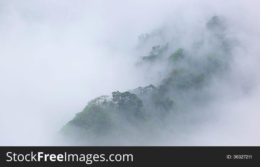 Ridge-line which is surrounded by fog. Ridge-line which is surrounded by fog.