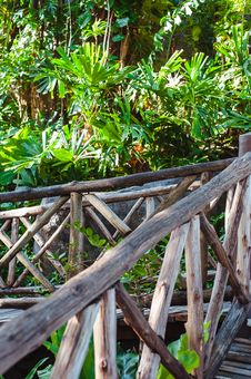 Wood Path Through Tropical Forest Stock Photo Wood Path Through Tropical Forest Stock Photo