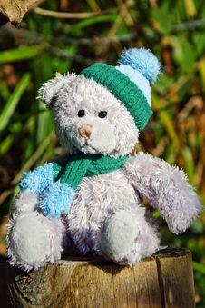 Time For The Winter Woollies Royalty Free Stock Photo Time For The Winter Woollies Royalty Free Stock Photo