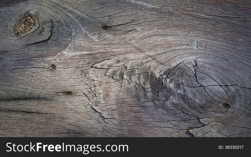 Texture of old wood texture background