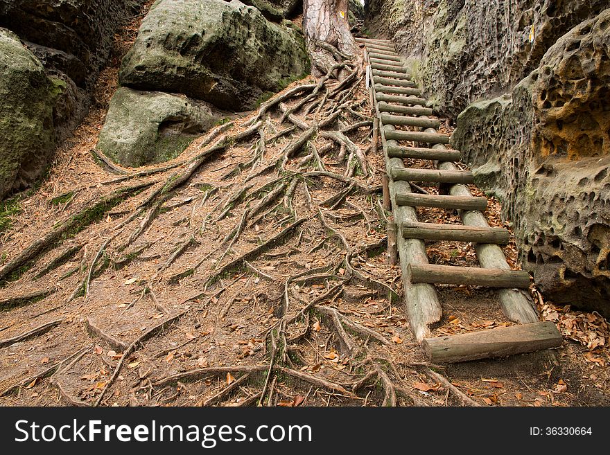 Wooden stairs lead along the rocks, roots above the surface