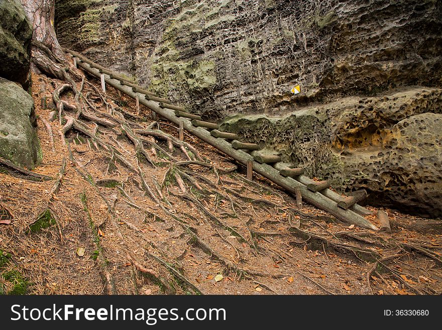 Wooden stairs lead along the rocks, roots above the surface