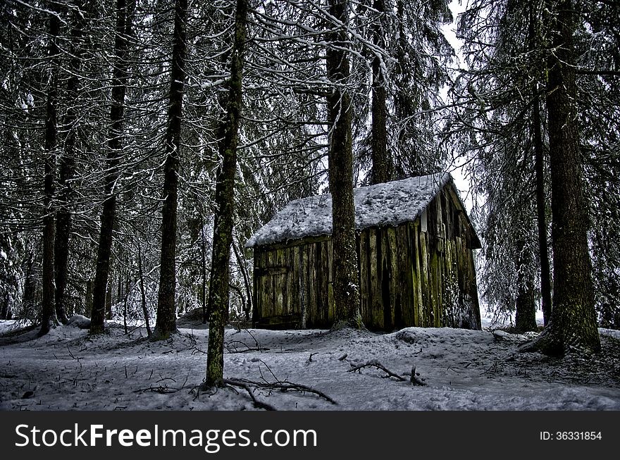 Alpine Hut In The Wood HDR