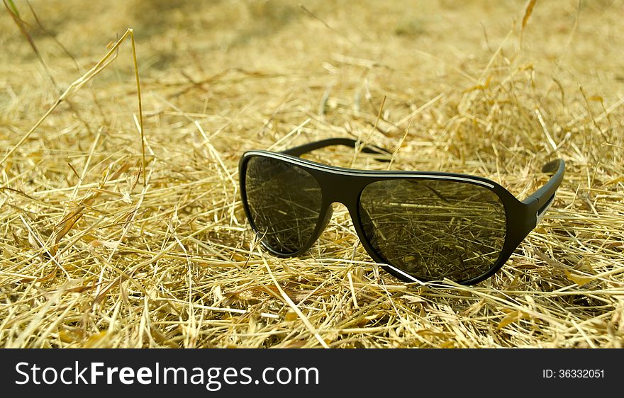 The black Sunglasses on dry grass. The black Sunglasses on dry grass