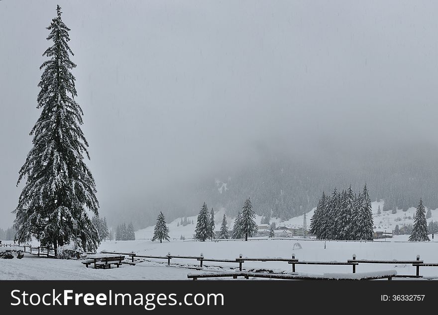 Winter landscape during snowfall in north region of Italy. Winter landscape during snowfall in north region of Italy