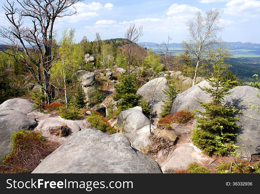 Landscape with rocks and trees between them. Landscape with rocks and trees between them