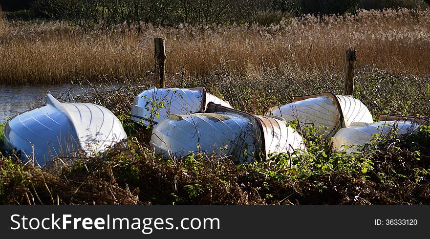 Rowing boats upturned, looking like beetles in the grasses. Rowing boats upturned, looking like beetles in the grasses