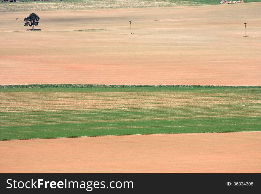 Colored farm fields