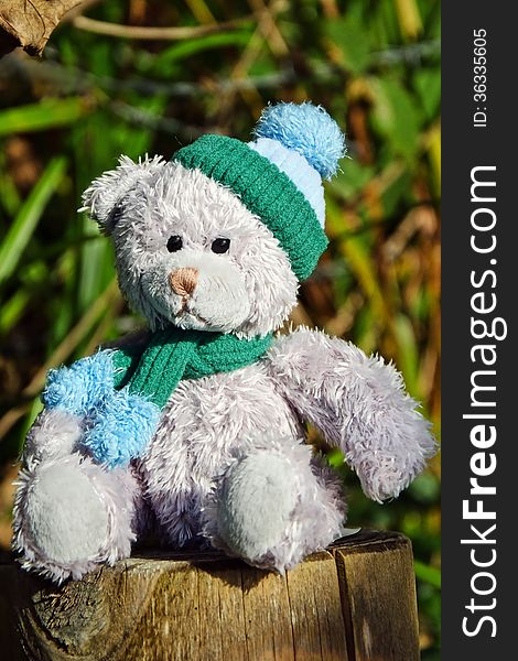 Stuffed bear dressed for winter with hat and scarf in outdoor setting. Stuffed bear dressed for winter with hat and scarf in outdoor setting.