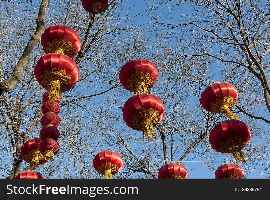 Many red lanterns hanging branches. Many red lanterns hanging branches