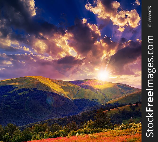 Coniferous forest on a steep mountain slope at sunset