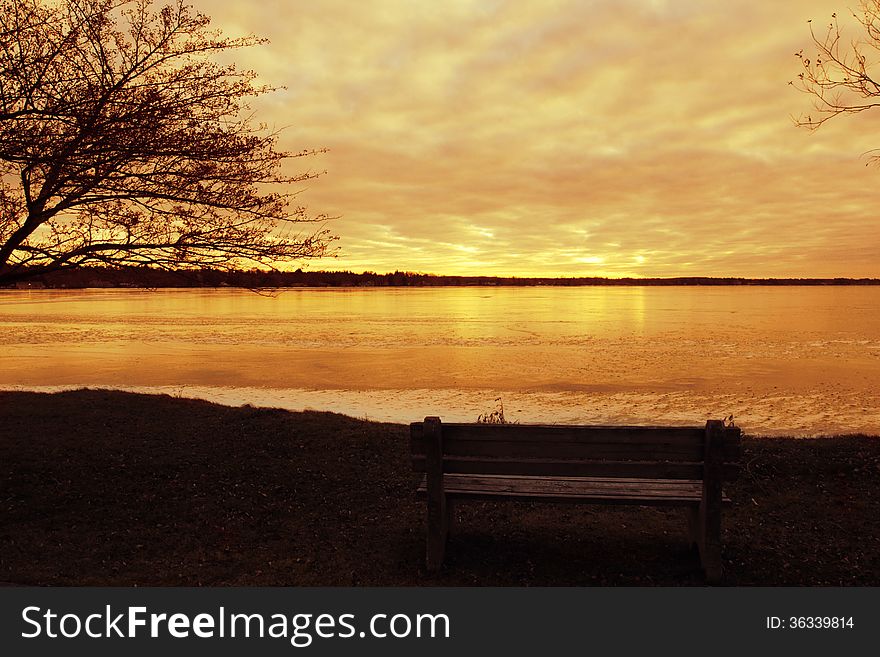 Winter Park Bench