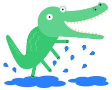 Alligator And Puddles Stock Photo Alligator And Puddles Stock Photo