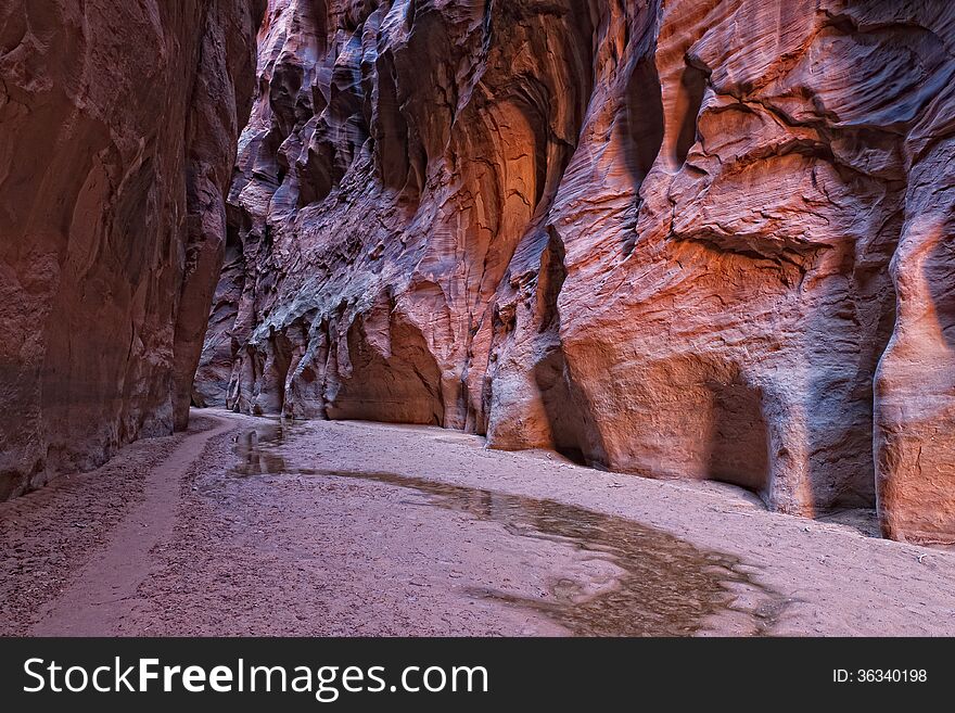 This is Buckskin Canyon, a highly scenic slot canyon, which meets with the Paria River at the confluence. This is Buckskin Canyon, a highly scenic slot canyon, which meets with the Paria River at the confluence.