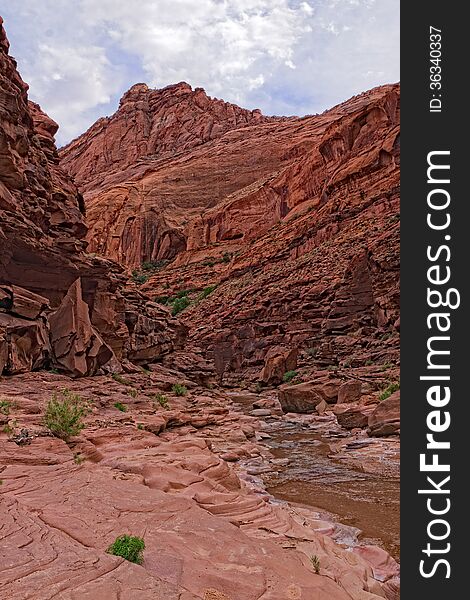 The Paria River flows through this spectacular steep canyon wilderness on our 38 mile backpack down to Lee's Ferry, AZ, The canyon walls widen as we reach our destination, after thousands of stream crossings. The Paria River flows through this spectacular steep canyon wilderness on our 38 mile backpack down to Lee's Ferry, AZ, The canyon walls widen as we reach our destination, after thousands of stream crossings.