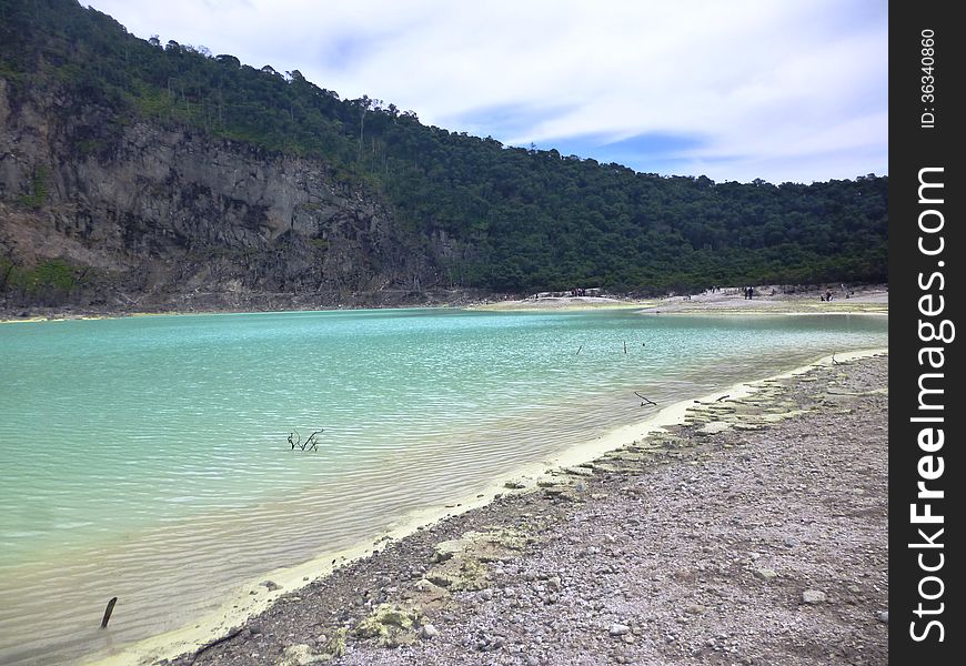 Scene and vegetation in crater Kawah Putih