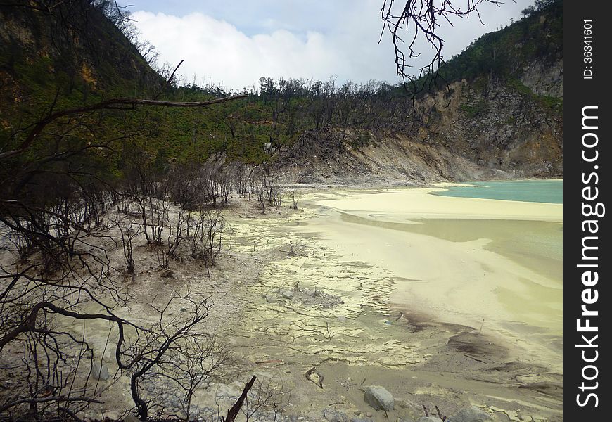 Beautiful scene and vegetation in crater Kawah Putih in ciwedey, bandung, west java