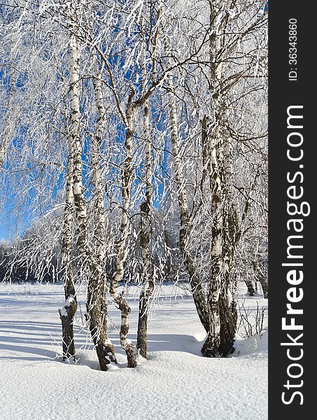 Frosty winter day in Russia. Frosty winter day in Russia