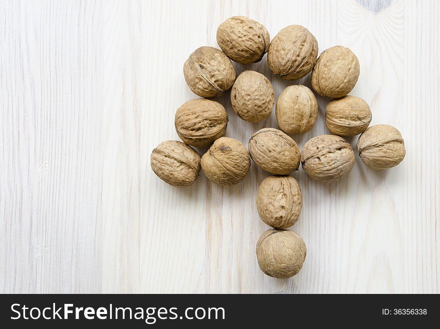 Tree made from walnuts on the light wooden background. Tree made from walnuts on the light wooden background