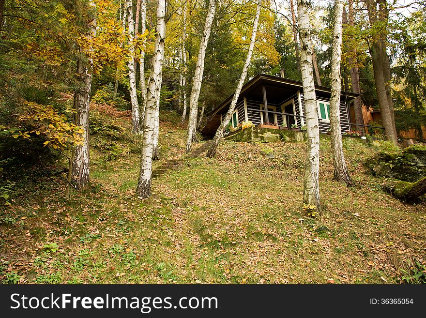 Small wooden cottage in the hills between birch trees