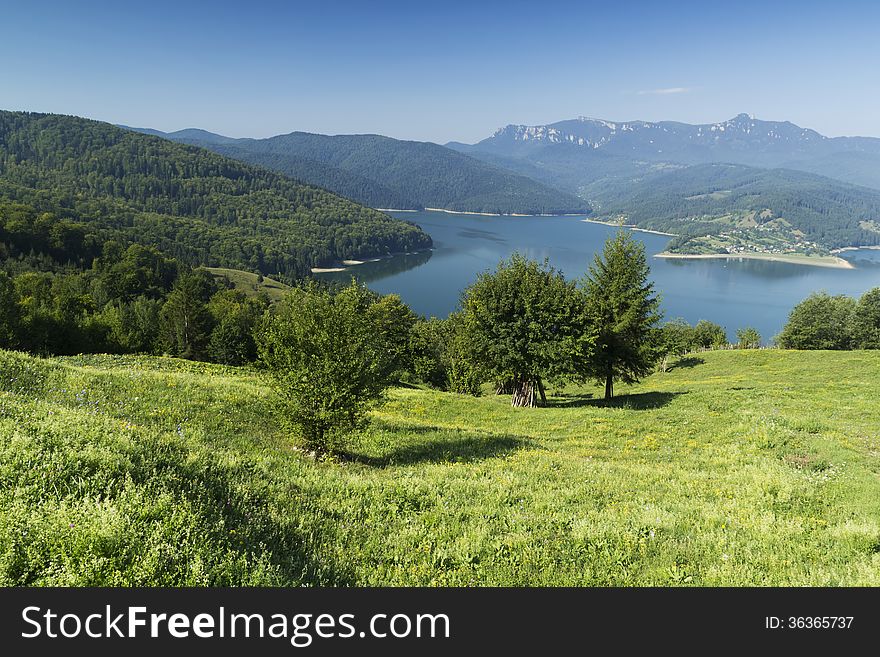 Trees, lake and mountains near vatra dornei, romania. Trees, lake and mountains near vatra dornei, romania