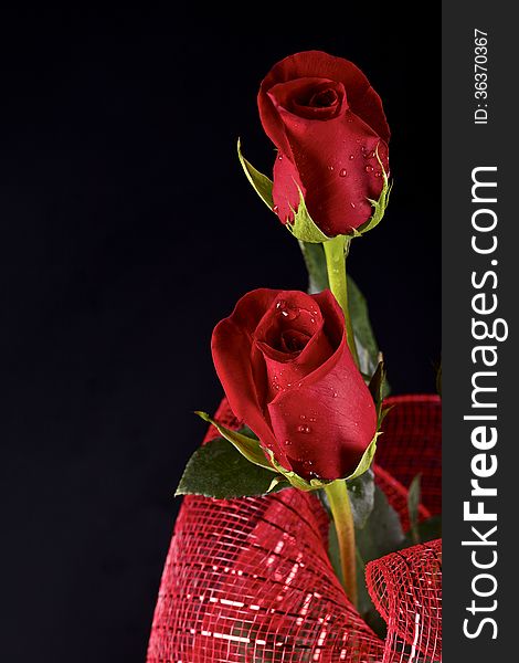 Two red roses and decorative red ribbon on black background