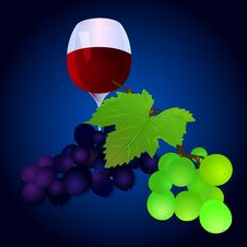 Grapes With A Glass Royalty Free Stock Images Grapes With A Glass Royalty Free Stock Images