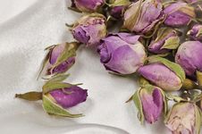 Bouquet Of Dried Roses Royalty Free Stock Photo Bouquet Of Dried Roses Royalty Free Stock Photo