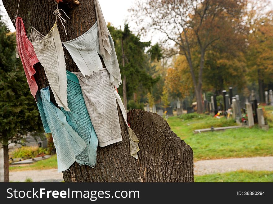 Tree with colorful scarves with inscriptions in the cemetery. Tree with colorful scarves with inscriptions in the cemetery