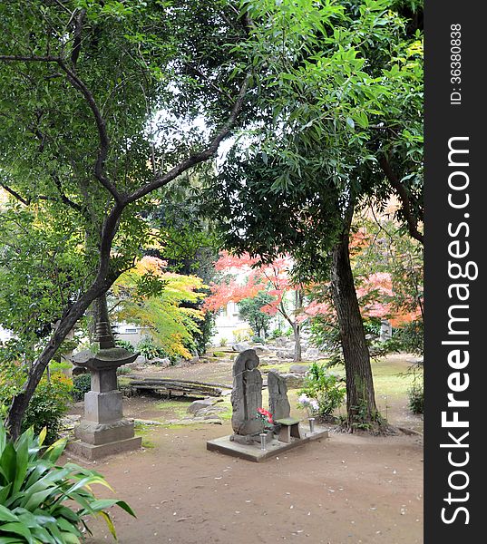 Japanese garden in Tokyo, Japan