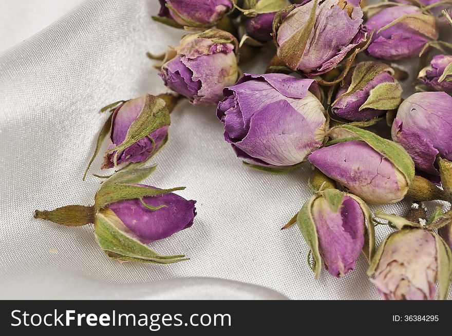 Bouquet Of Dried Roses