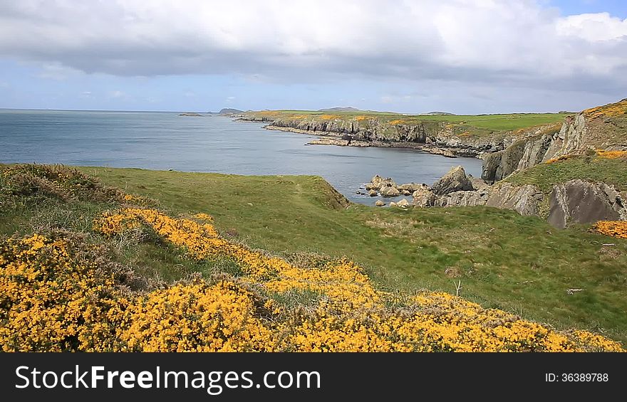 View from Wales Coast Path St Brides Bay Pembrokeshire West Wales UK