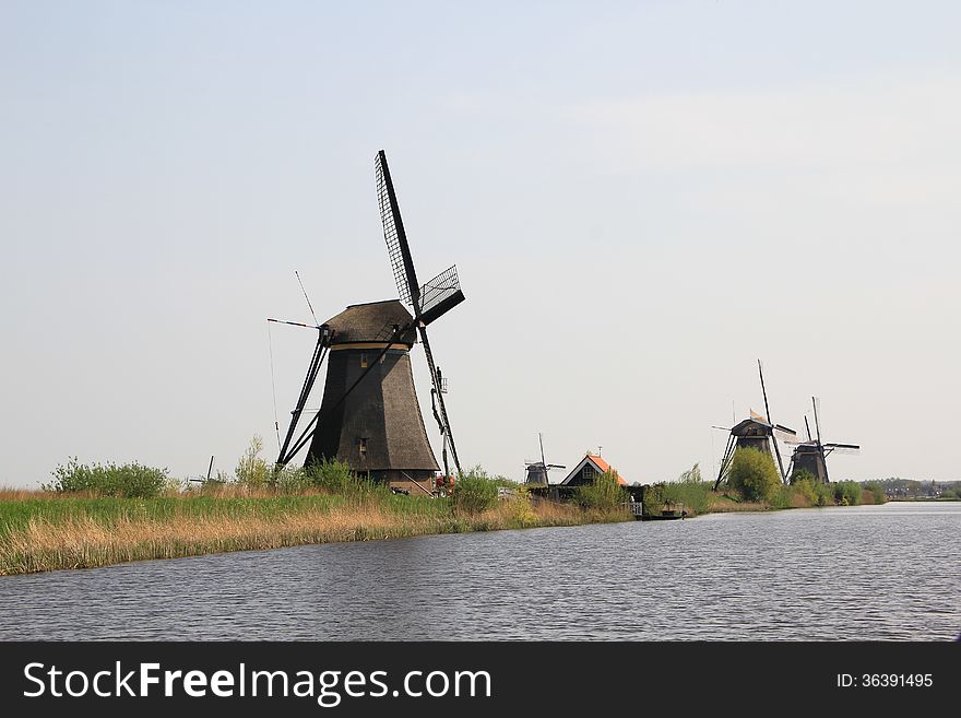 Windmills on the canal bank. Typical Dutch rural landscape in the vicinity of Amsterdam.