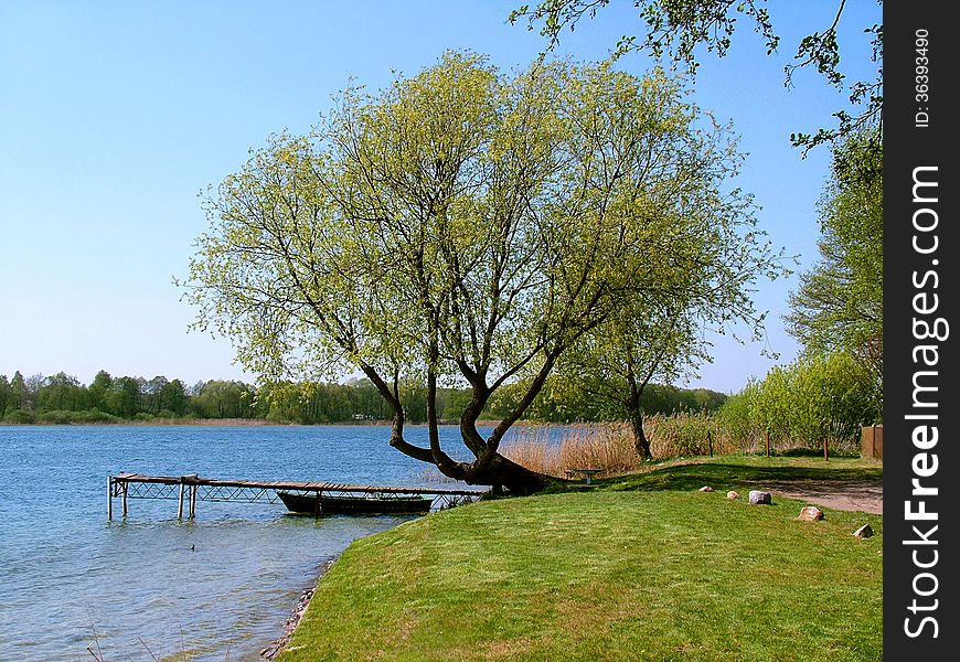Bridge and tree over Lake Powidzkie in the spring season. Bridge and tree over Lake Powidzkie in the spring season.