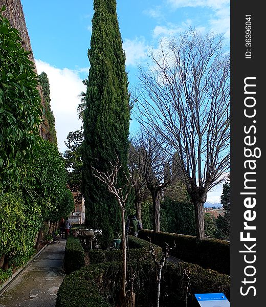 Alhambra Mediterranean Formal Garden