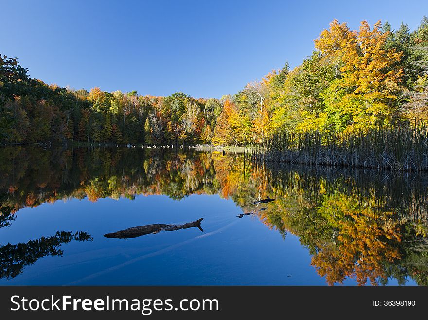 Autumn color reflections with blue sky