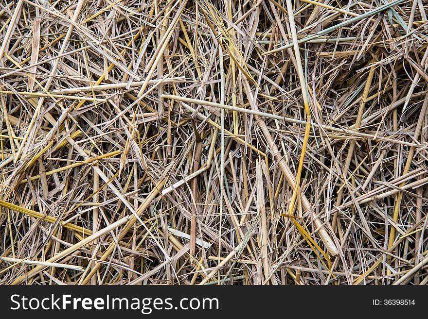 Zoom shot out of focus straw for background. Zoom shot out of focus straw for background.