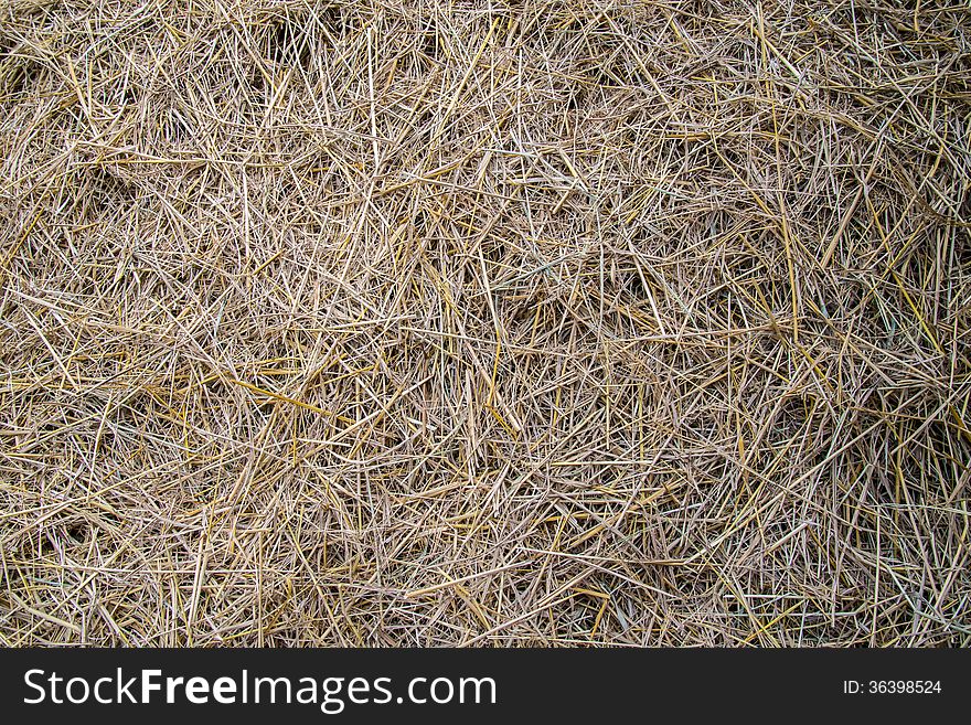 Zoom shot out of focus straw for background. Zoom shot out of focus straw for background.