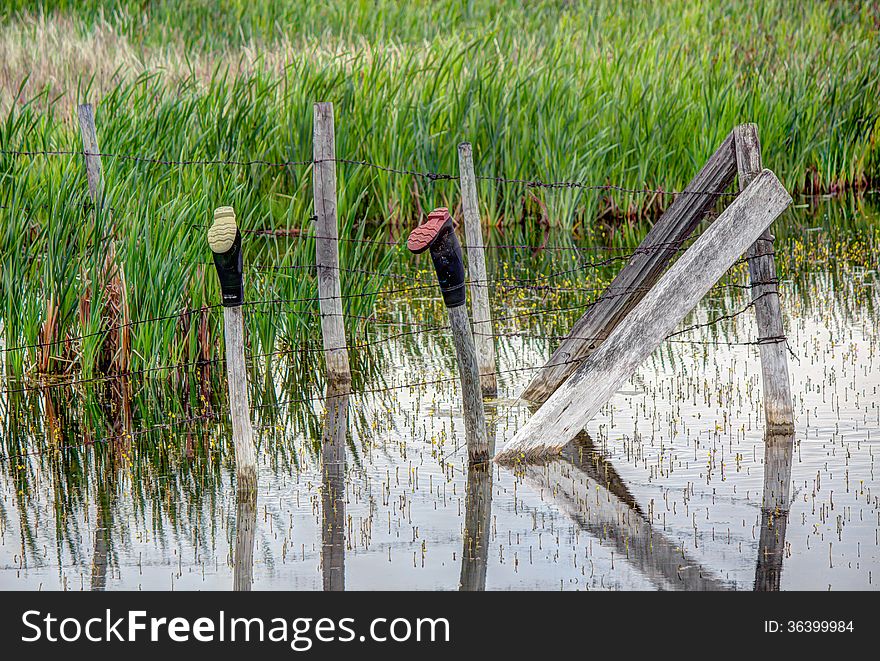 Rubber boots on a fence post in water