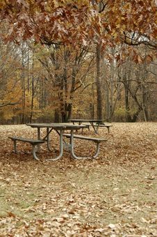 Picnic Area Royalty Free Stock Image