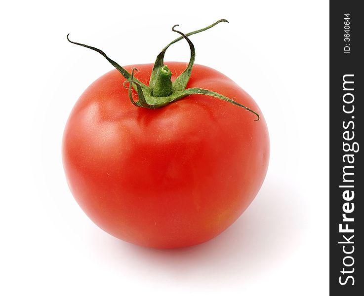 Fresh tomato isolated on white background. Fresh tomato isolated on white background