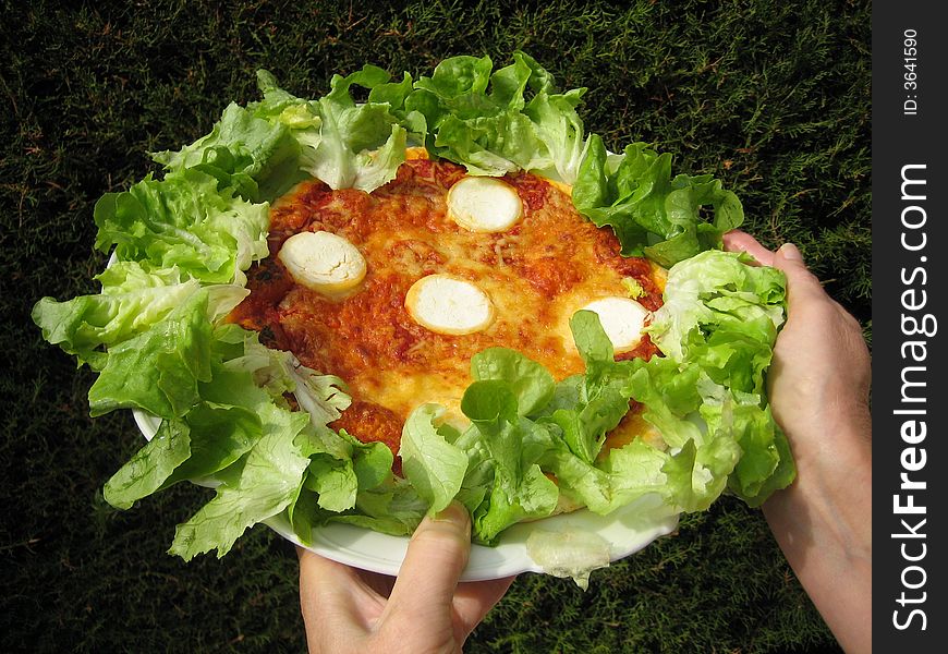 Appetizing cheese and tomato pizza. Appetizing cheese and tomato pizza