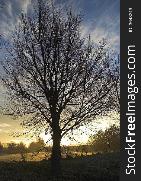 Golf field in Delft, Holland, photographed on a winter frosty morning in autumn with a silhouette of a tree in the foreground. Golf field in Delft, Holland, photographed on a winter frosty morning in autumn with a silhouette of a tree in the foreground