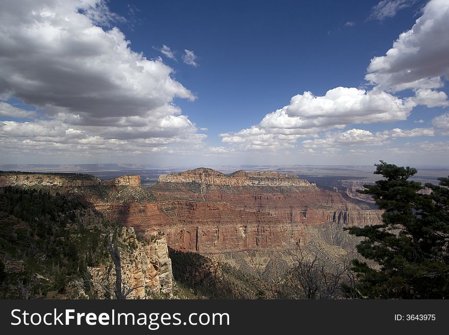 Views of The Grand Canyon, North Rim