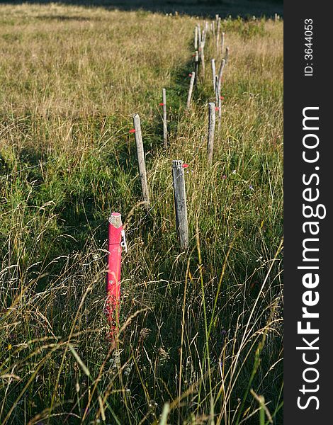 A row of rustic fence posts lined up in an alpine pasture, bathed in golden early morning sunlight. A row of rustic fence posts lined up in an alpine pasture, bathed in golden early morning sunlight