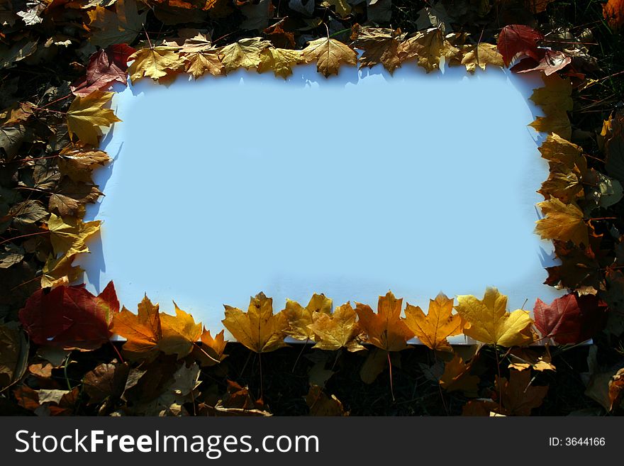 A blank white sign ready for message surrounded by autumn leaves. A blank white sign ready for message surrounded by autumn leaves.